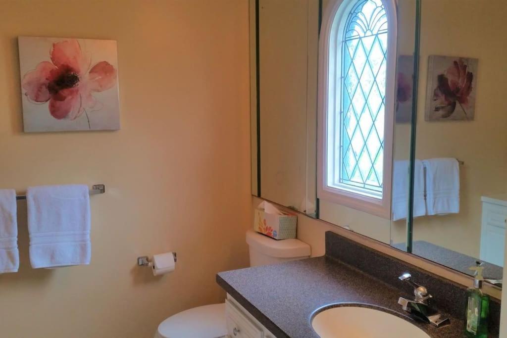 Castlegate Guest Apartment Vista Zewnętrze zdjęcie
